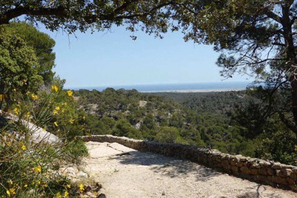 Entre Mer Et Garrigue Saint-Pierre-la-Mer  Exteriér fotografie
