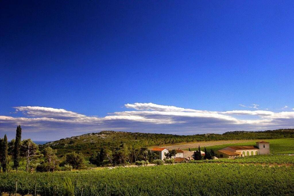 Entre Mer Et Garrigue Saint-Pierre-la-Mer  Exteriér fotografie