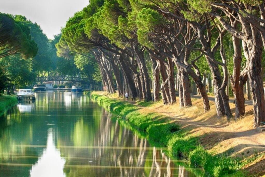 Entre Mer Et Garrigue Saint-Pierre-la-Mer  Exteriér fotografie