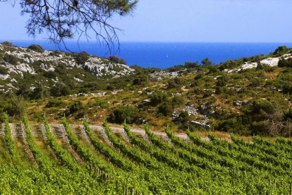 Entre Mer Et Garrigue Saint-Pierre-la-Mer  Exteriér fotografie